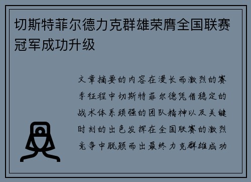 切斯特菲尔德力克群雄荣膺全国联赛冠军成功升级 切斯特菲尔德力克群雄荣膺全国联赛冠军成功升级