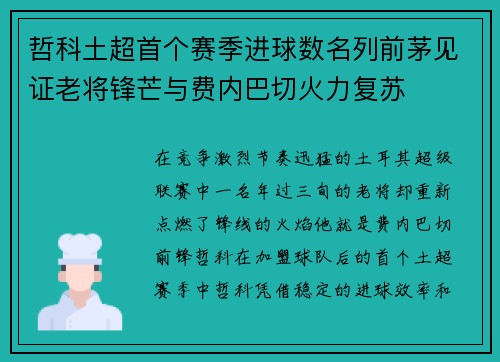 哲科土超首个赛季进球数名列前茅见证老将锋芒与费内巴切火力复苏 哲科土超首个赛季进球数名列前茅见证老将锋芒与费内巴切火力复苏