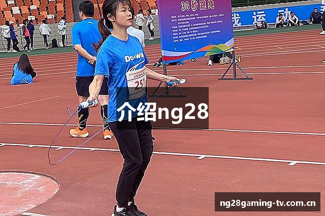 介绍ng28